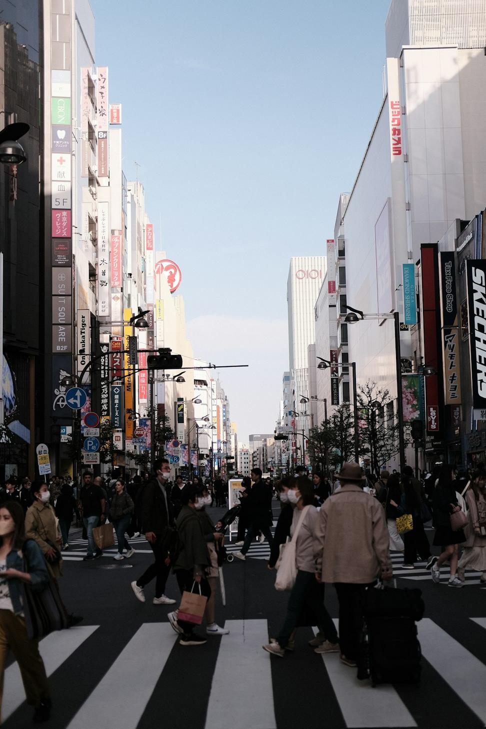 Urban Planning and Development